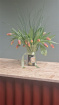 Eco Range Fresh Flowers | Popular this Week | Tulip Vase