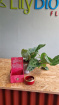Flowers & Gift ideas @ Lily Bloom Florist | Sound and Soul Harmony Set