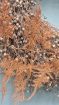 Fresh Flowers, Bouquets, Door Wreaths | Halloween Hops Haunted Wreath