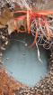 Fresh Flowers, Bouquets, Door Wreaths | Halloween Hops Haunted Wreath