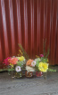 Bouquets / Planters / Gifts | Pollys Pots