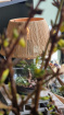 Plants / Living life Greener | Terrarium Moonlight