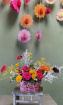 Bouquets / Planters / Gifts | Pink Floyd