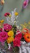 Bouquets / Planters / Gifts | Pink Floyd