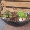 Bouquets / Planters / Gifts | Gather