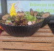 Bouquets / Planters / Gifts | Gather