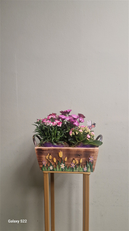 Bouquets / Planters / Gifts | Summer Sunshine Planter