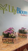 Bouquets / Planters / Gifts | Summer Sunshine Planter
