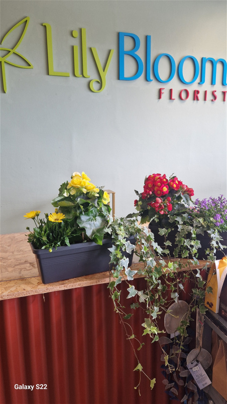Plants / Living life Greener | Bloom Anywhere Bloom Box
