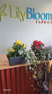Plants / Living life Greener | Bloom Anywhere Bloom Box