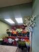 Our Workshops | Bloom Bar Saturday September 12th @ 10am