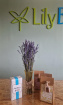 Fresh Flowers | Plants / Living life Greener | Lavender Vase With Chocolates & Baths Salts