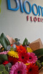 Fresh Flowers | Ooops A Daisy