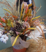 Everyday Blooms | The Limited Keepsake Edition Dried Flowers | Rustic Wild and Wonderful Limited Edition Keepsake