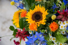 Fresh Flowers | Upsell gifts | Colourful