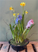 Fresh Flowers | Seasonal bulb planter