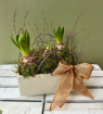 Christmas | Upsell gifts | Seasonal bulb planter