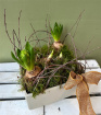 Christmas | Upsell gifts | Seasonal bulb planter