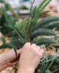 Workshops & Events | Festive Wreathmaking at Johnston's of Elgin