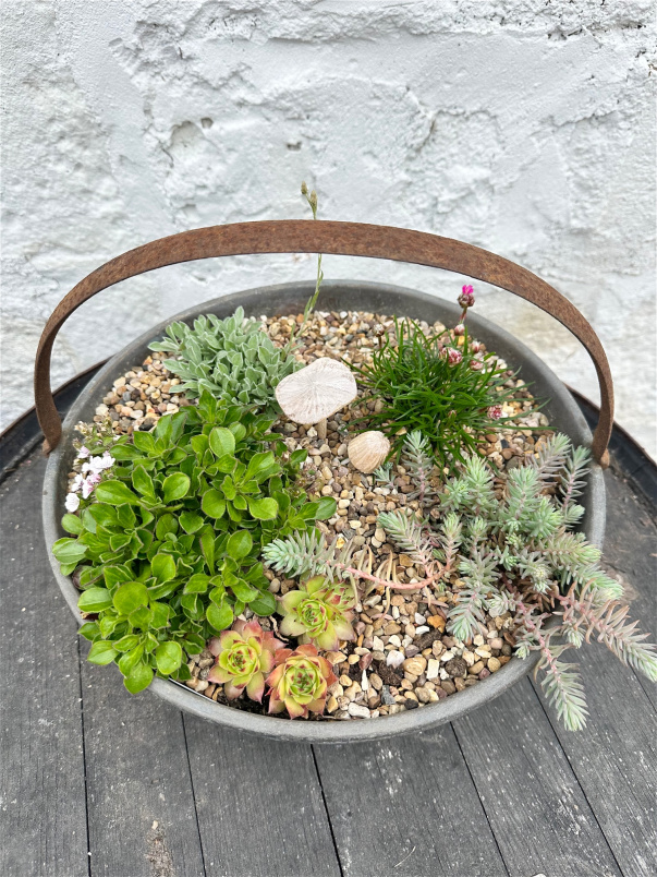Fresh Flowers | Vintage Alpine planter