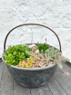 Fresh Flowers | Vintage Alpine planter