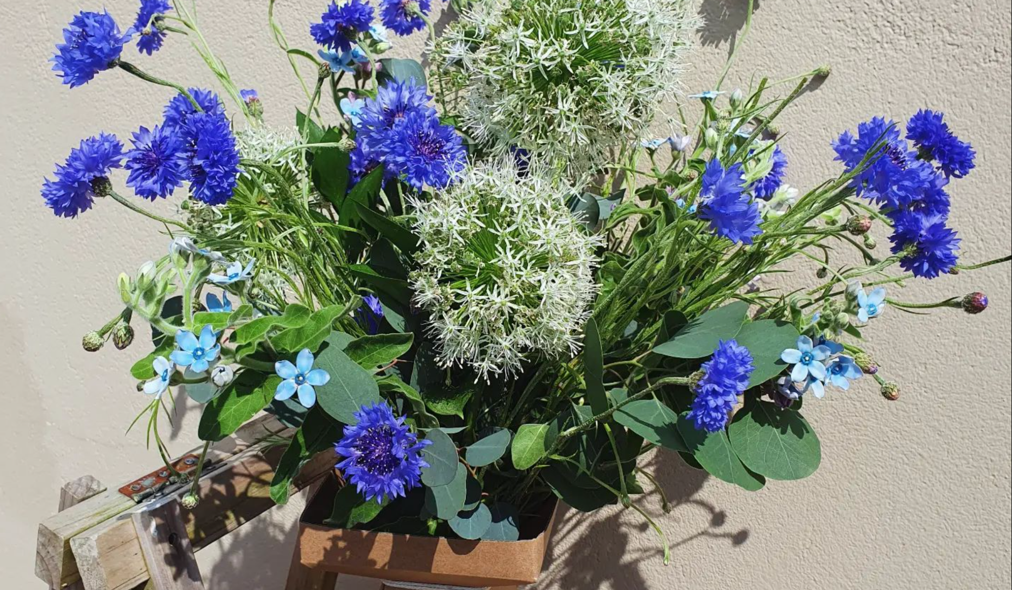Skye Flowers | Home