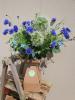 Skye Flowers | Home