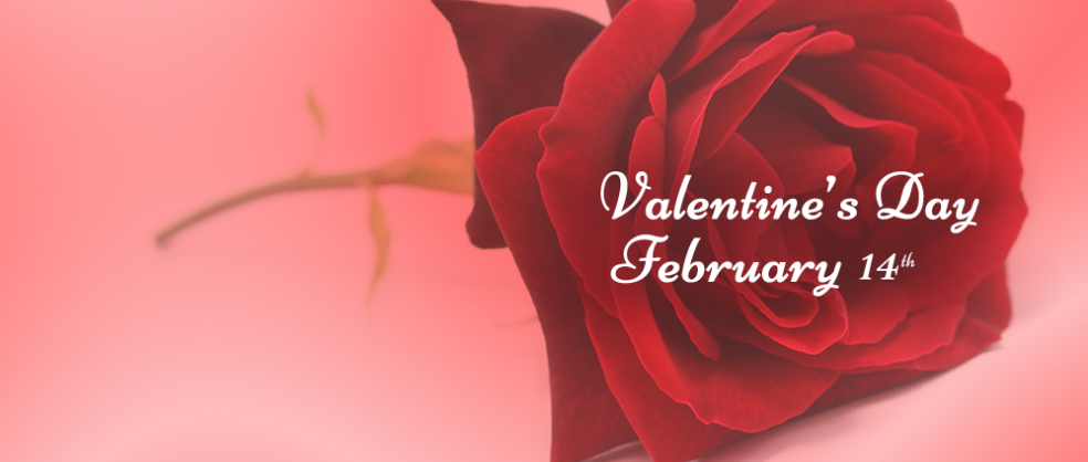 Brockley Florists | Brockley | Home