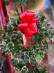 Christmas | Holly wreath