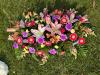 H in Bloom | Hitchin | Funeral