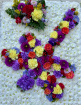 Funeral Tributes | Dragonfly Tribute