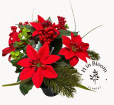 Christmas | Christmas Grave Pot – Classic Red Poinsettia Mix