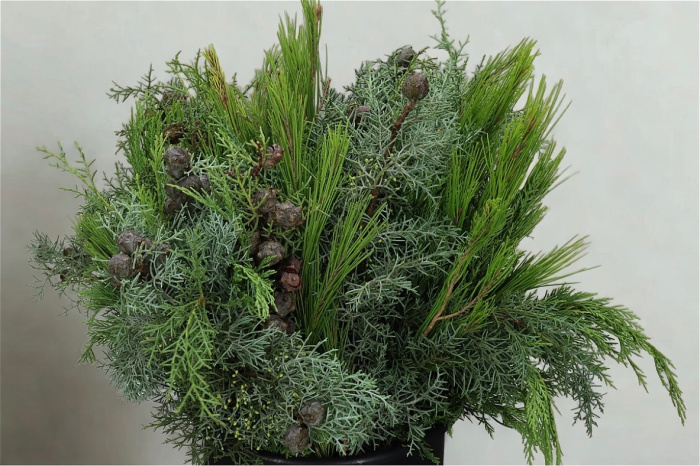 Christmas | 7 Stems of Christmas Foliage