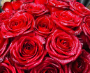 £60 plus Range | The Rose Bouquet