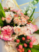 £25-£35 | £40-£50 | All the Pinks
