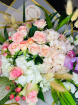 £25-£35 | £40-£50 | The Fairy Garden
