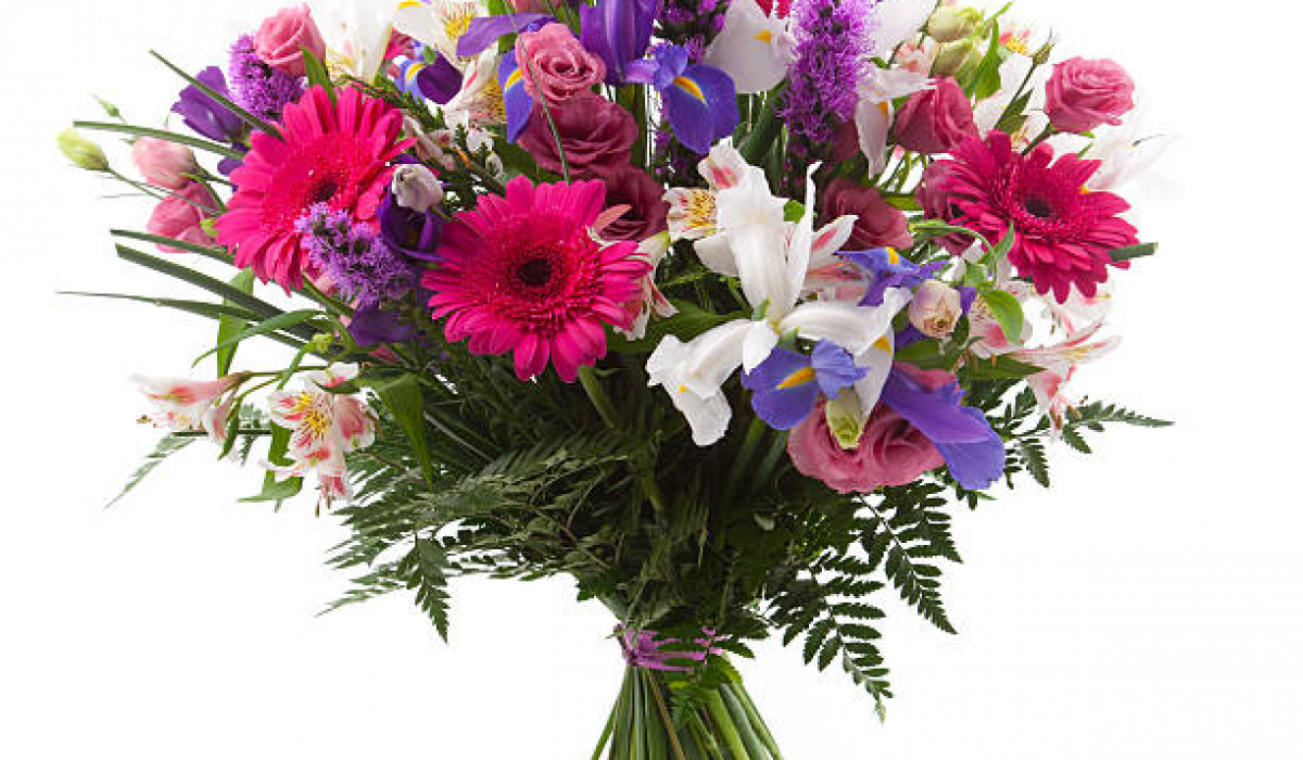 DAISY DAYDREAMS FLOWERS | Home