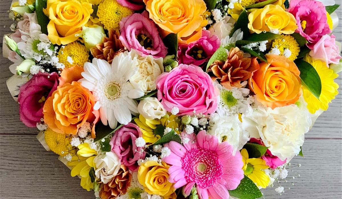 DAISY DAYDREAMS FLOWERS | Home