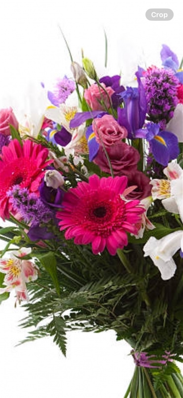 Bouquets | Daisy Daydream Bouquet Bright