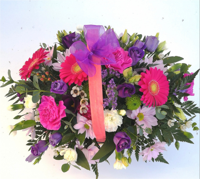 Baskets and Arrangements  | Mother's Day | Daisy Daydreams -  Florist Choice