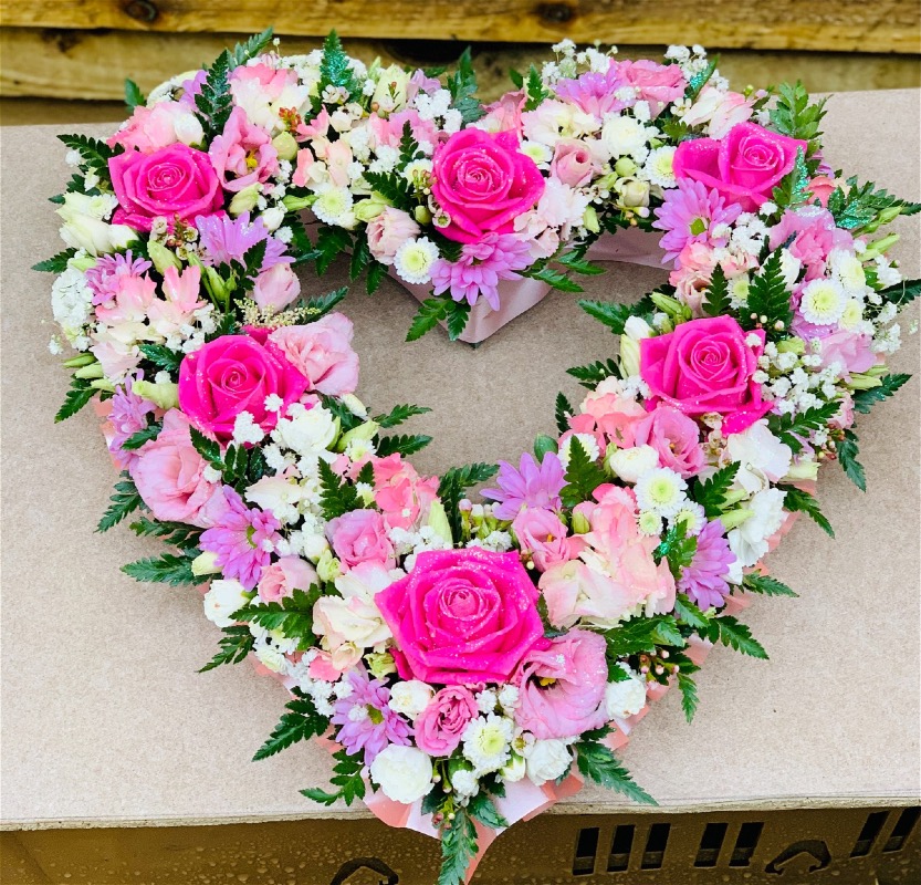 DAISY DAYDREAMS FLOWERS | Home