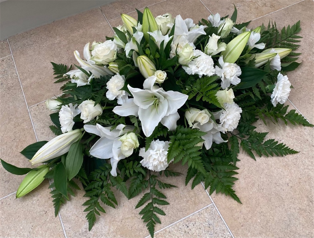 DAISY DAYDREAMS FLOWERS | Home