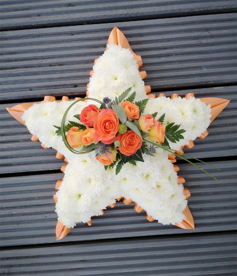 DAISY DAYDREAMS FLOWERS | Home