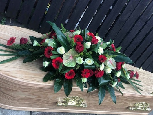 DAISY DAYDREAMS FLOWERS | Home