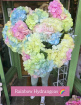 Mother's Day - Fairy Cottage Garden | Rainbow Surprise