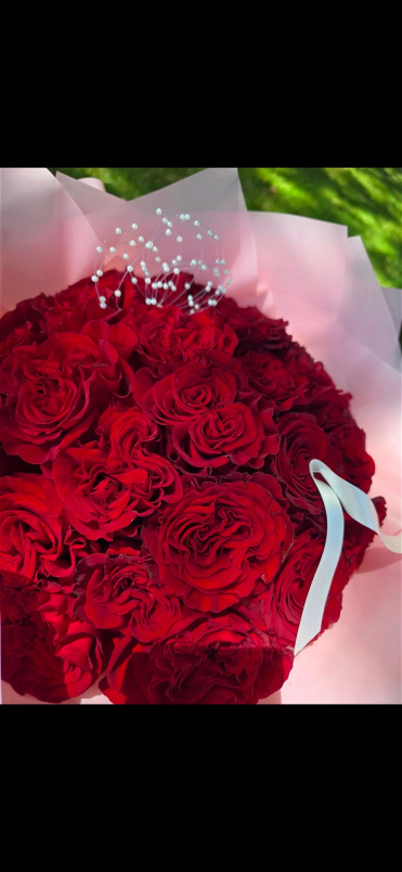 Roses | HEART ROSES