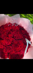 Roses | HEART ROSES