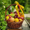 Arrangements | Extras | Hand-Tied Bouquets | Mother's Day | Valentine's Day | Fruits basket