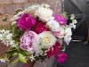 Darling Buds | Hoddesdon | Weddings