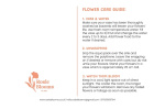 All Bouquets | Birthday | Birthday Bloom